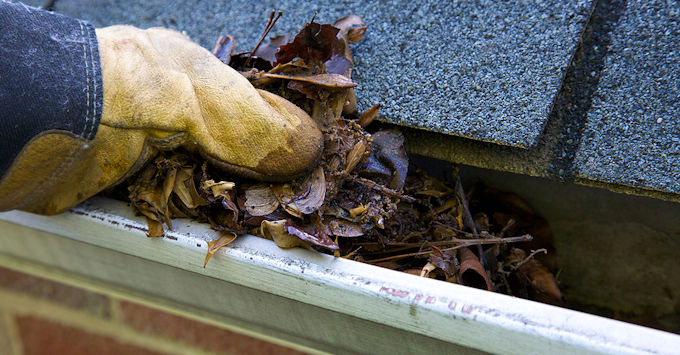 Cleaning your rain gutter